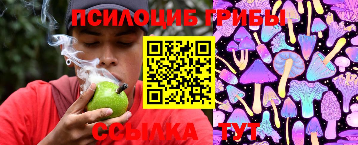 Лабытнанги  Галлюциногенные грибы Psilocybine cubensis  продажа наркотиков  Вход с VPN 