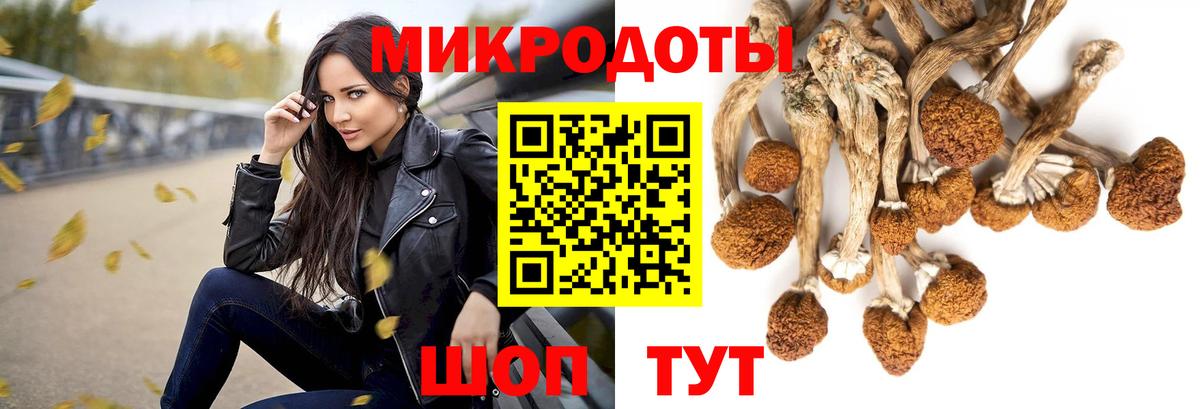 Псилоцибиновые грибы мицелий Лабытнанги